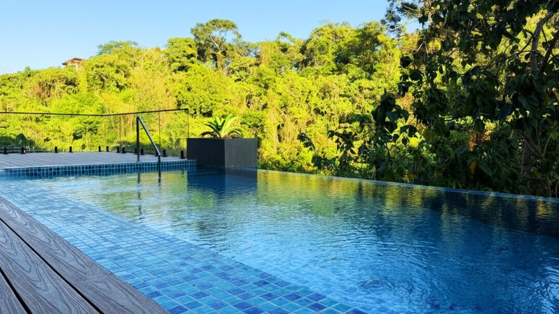 Infinity pool overlooking protected forest canopy