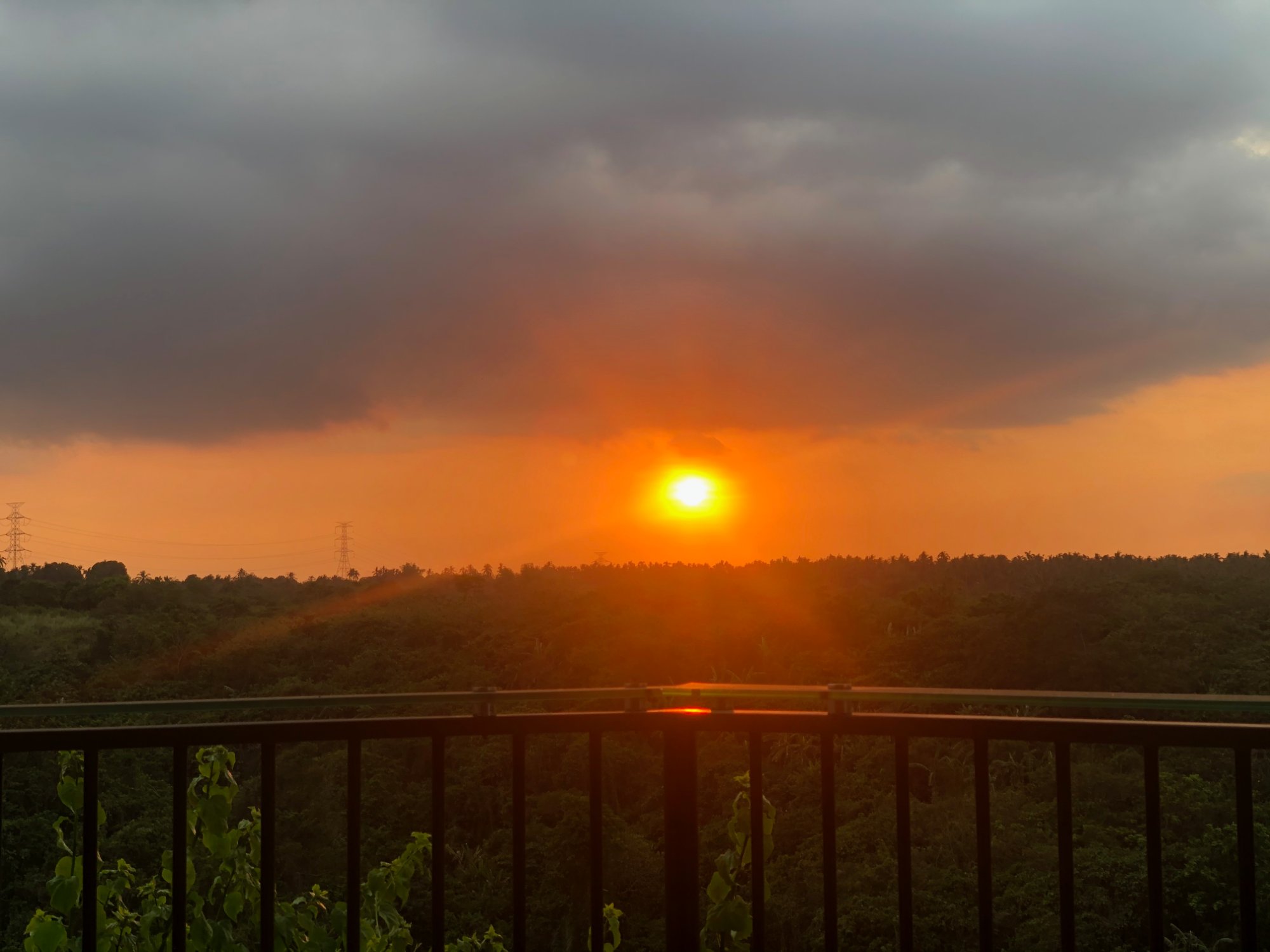 Sunset over the forest canopy, taken from our back deck in Westgrove Heights